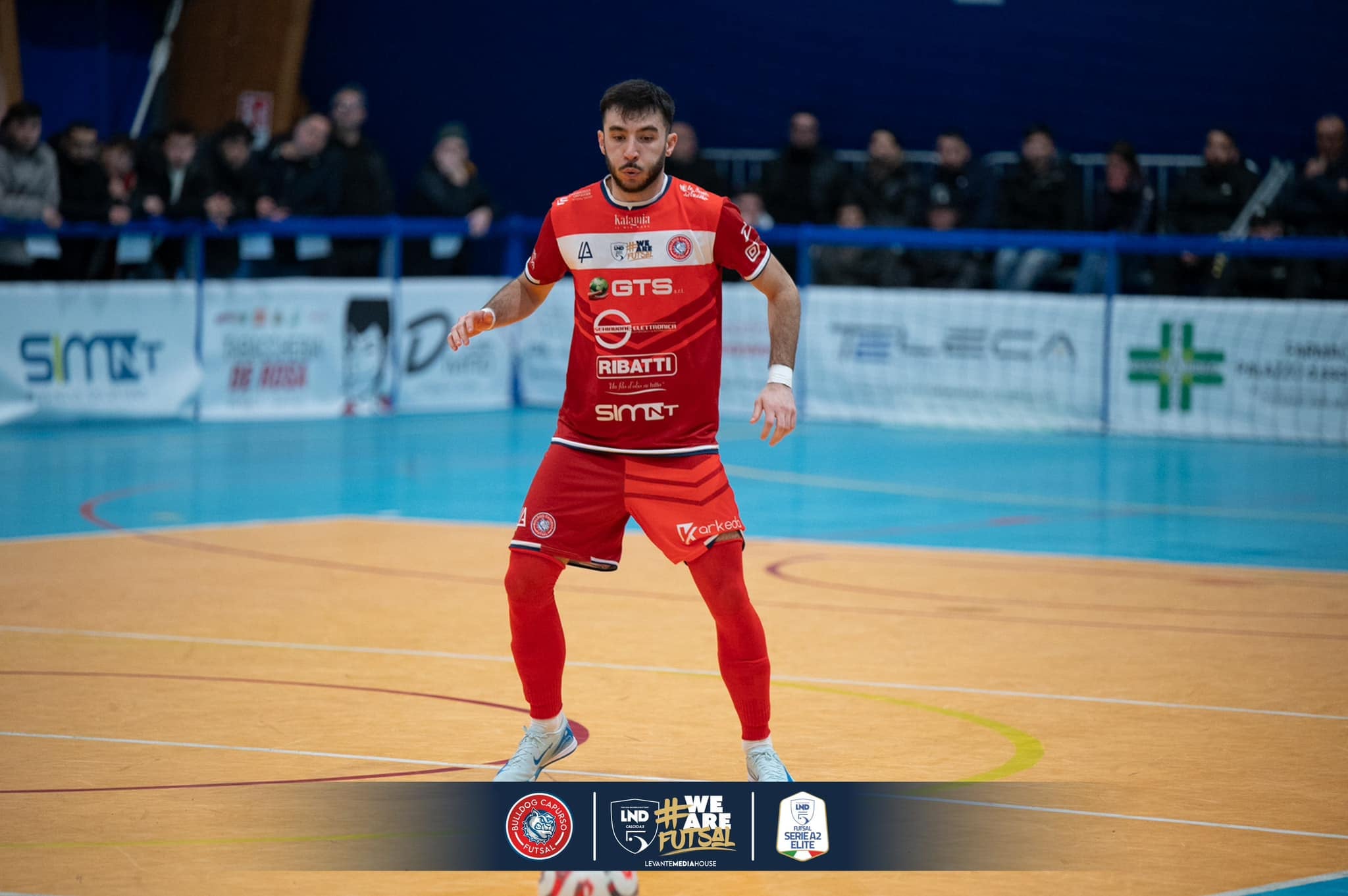 Bulldog Capurso — Foto 6