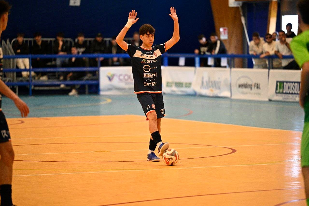 Bulldog Capurso — Foto 7