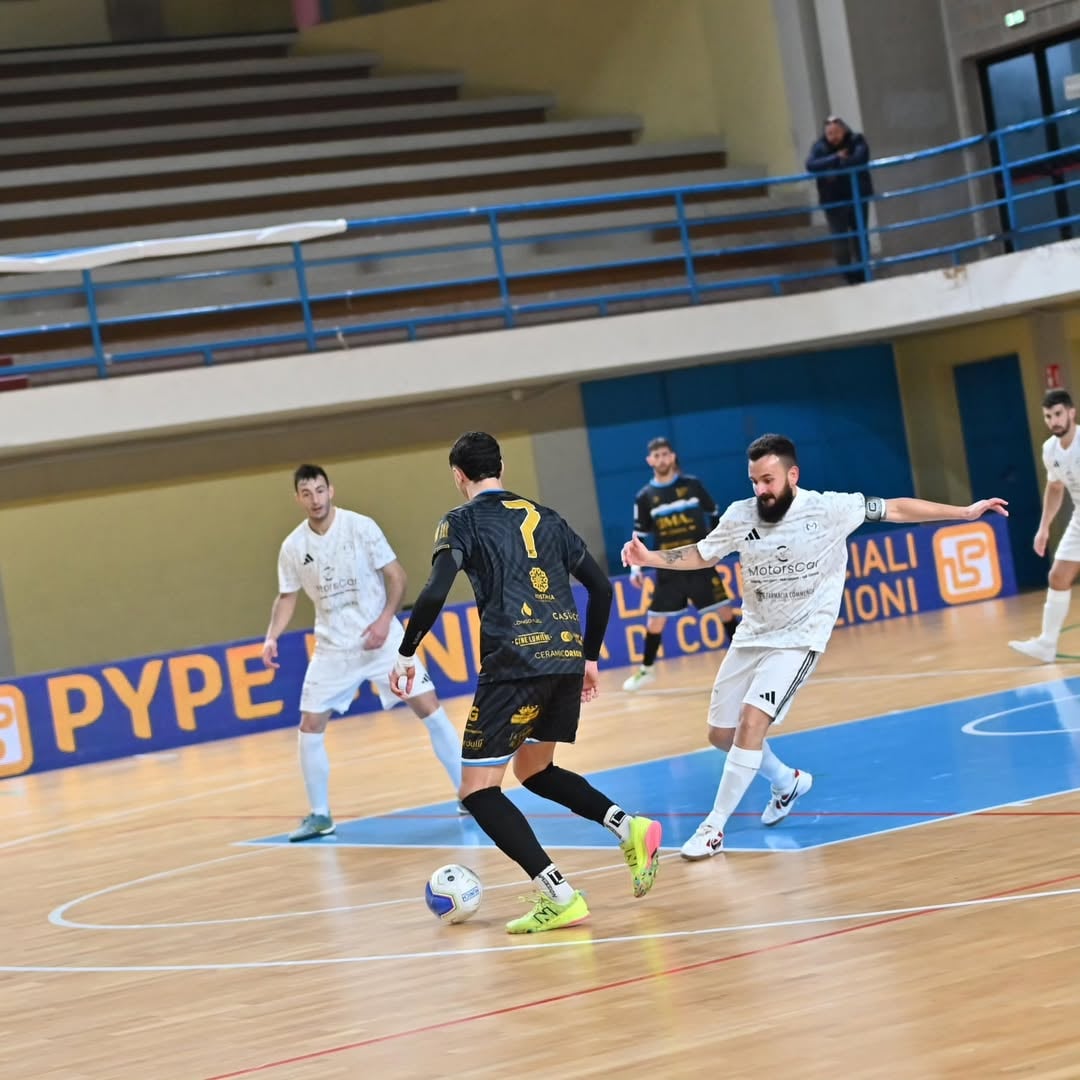 Just Mola — Foto 11